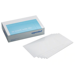 德國艾本德(Eppendorf)Masterclear? real-timePCR 密封膜, 自封膜, PCR 潔凈級, 100 個